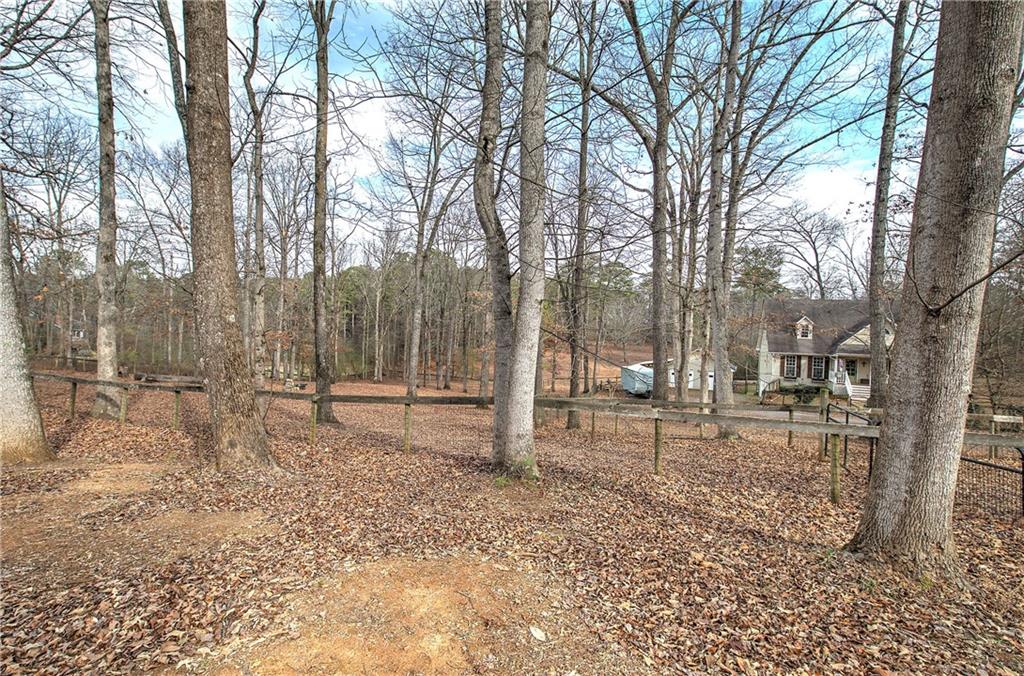 1703 Bryant Road Ranger, GA 30734 - Photo 64 of 71 a view of a yard with a tree