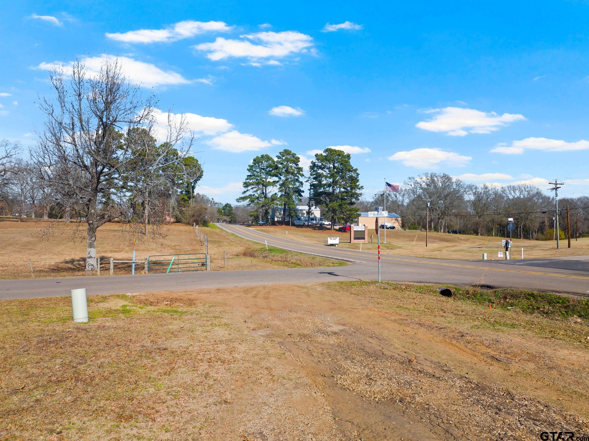 1402 And Nevills Road Mount Pleasant, TX 75455 - Photo 14 of 31 a view of yard with swimming pool and green space