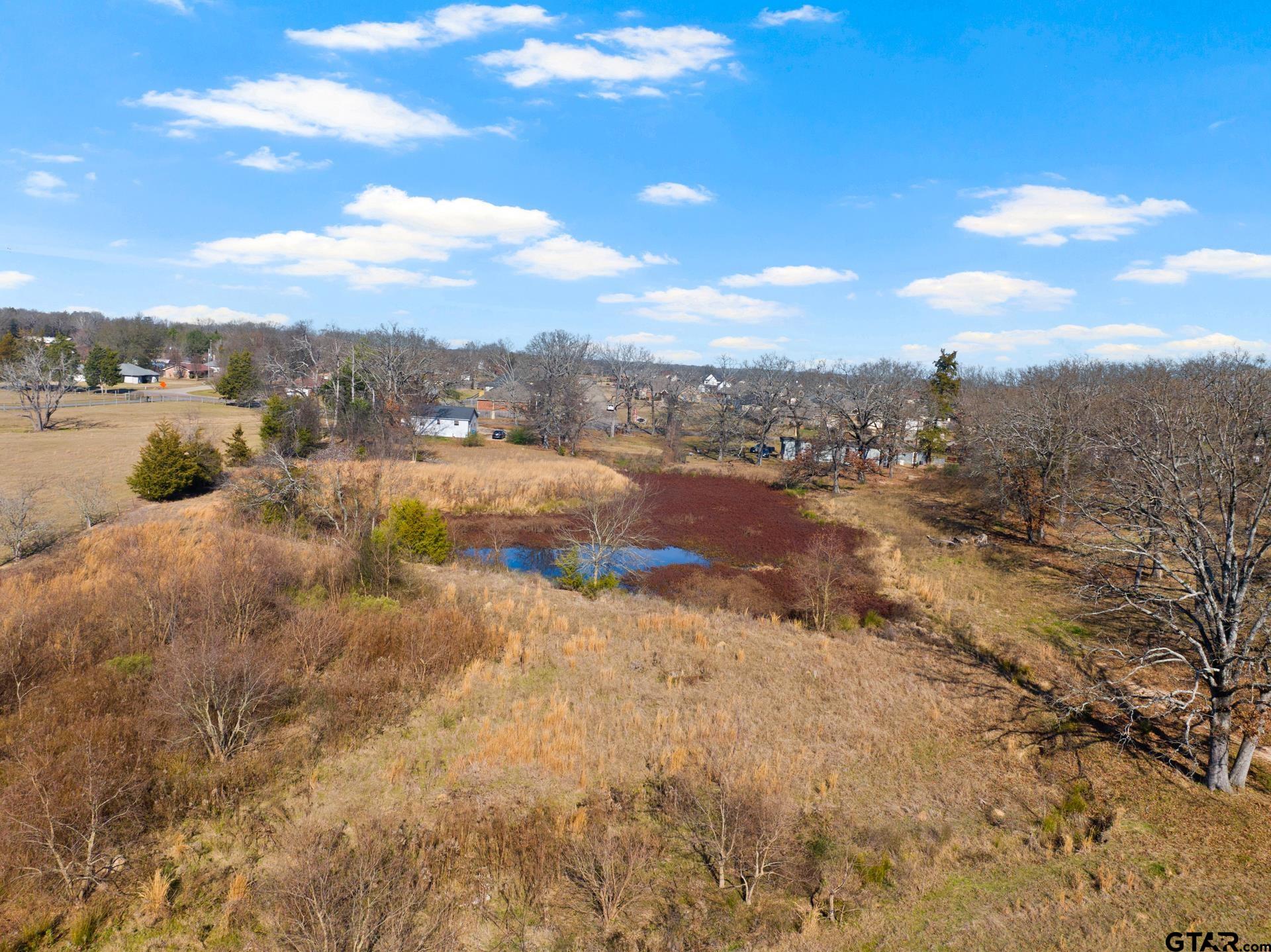 1402 And Nevills Road Mount Pleasant, TX 75455 - Photo 7 of 31 a view of a lake with mountains in the background