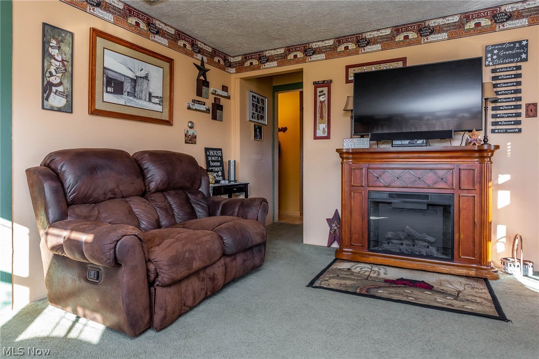 12302 Hoover Road Milan, OH 44846 - Photo 8 of 35