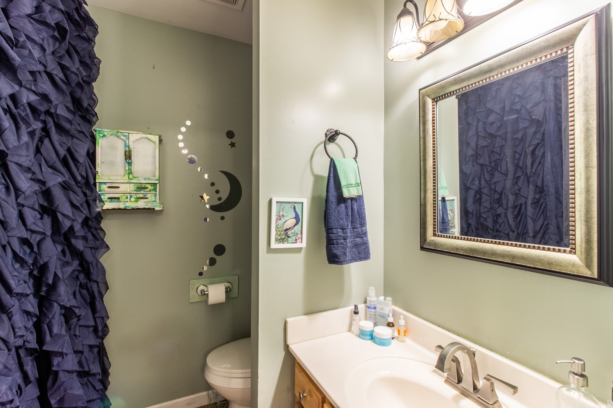 1371 Cowan Road Dickson, TN 37055 - Photo 12 of 18 a bathroom with a sink a toilet and shower curtain