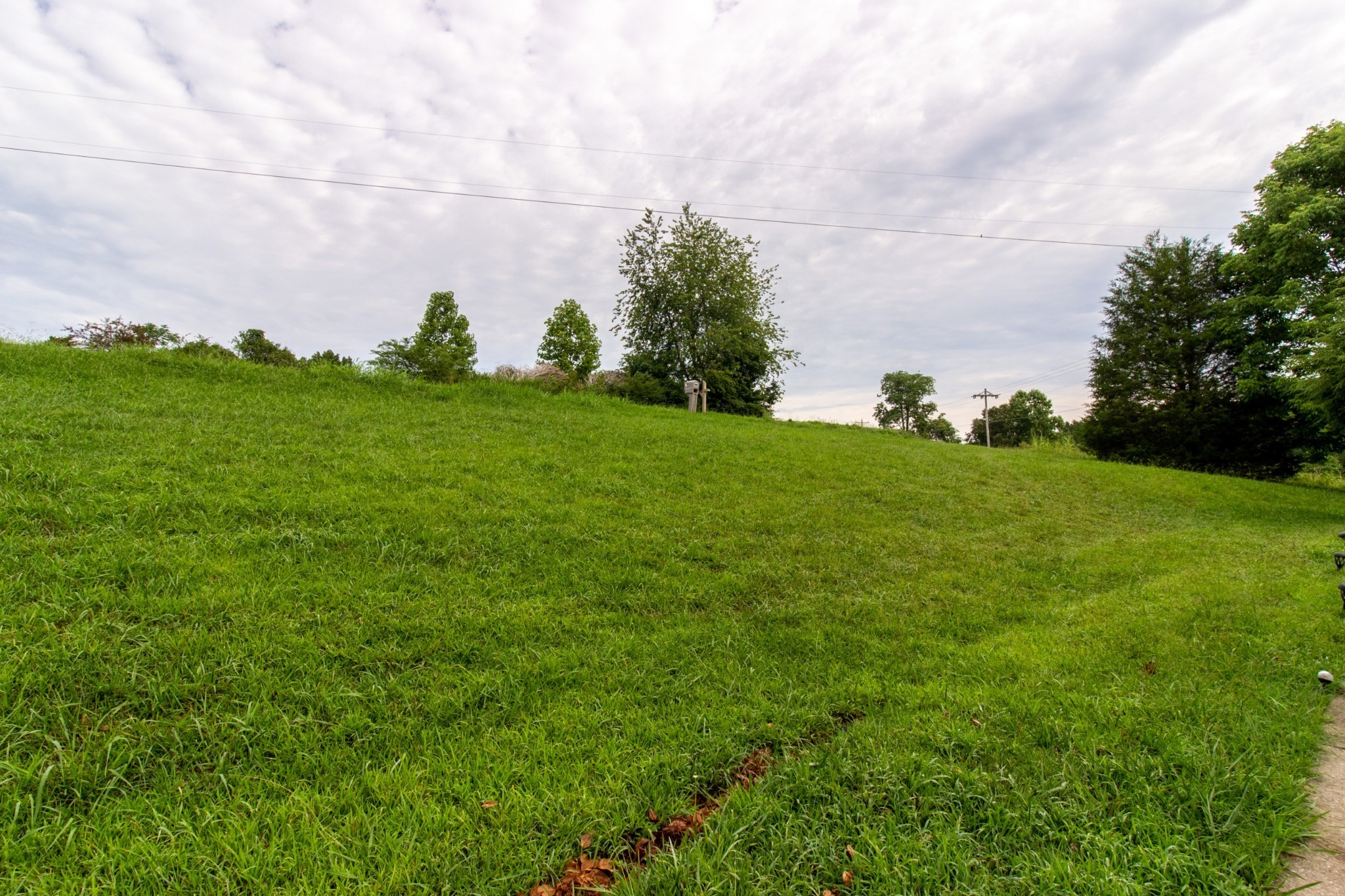 1371 Cowan Road Dickson, TN 37055 - Photo 14 of 18 a view of a field with an trees