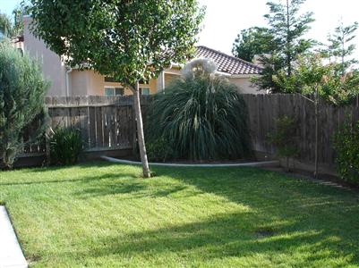 145 West Parlier Avenue Reedley, CA 93654 - Photo 14 of 15 Gallery Image 14