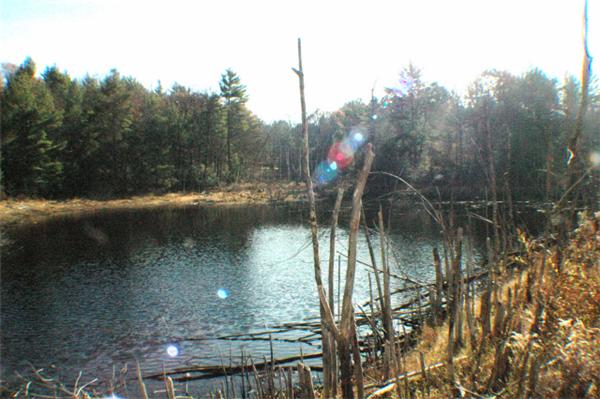114 Hannah Dudley Road Leverett, MA 01054 - Photo 14 of 18