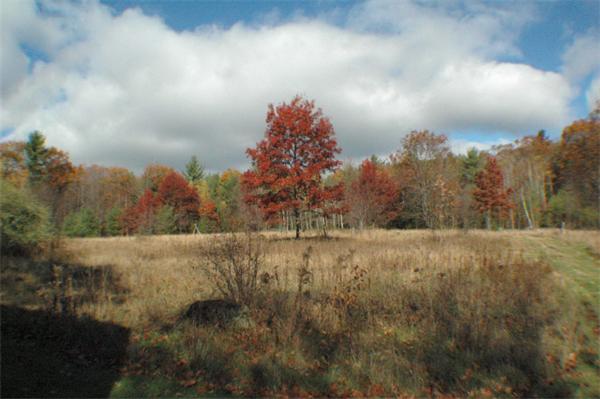 114 Hannah Dudley Road Leverett, MA 01054 - Photo 6 of 18