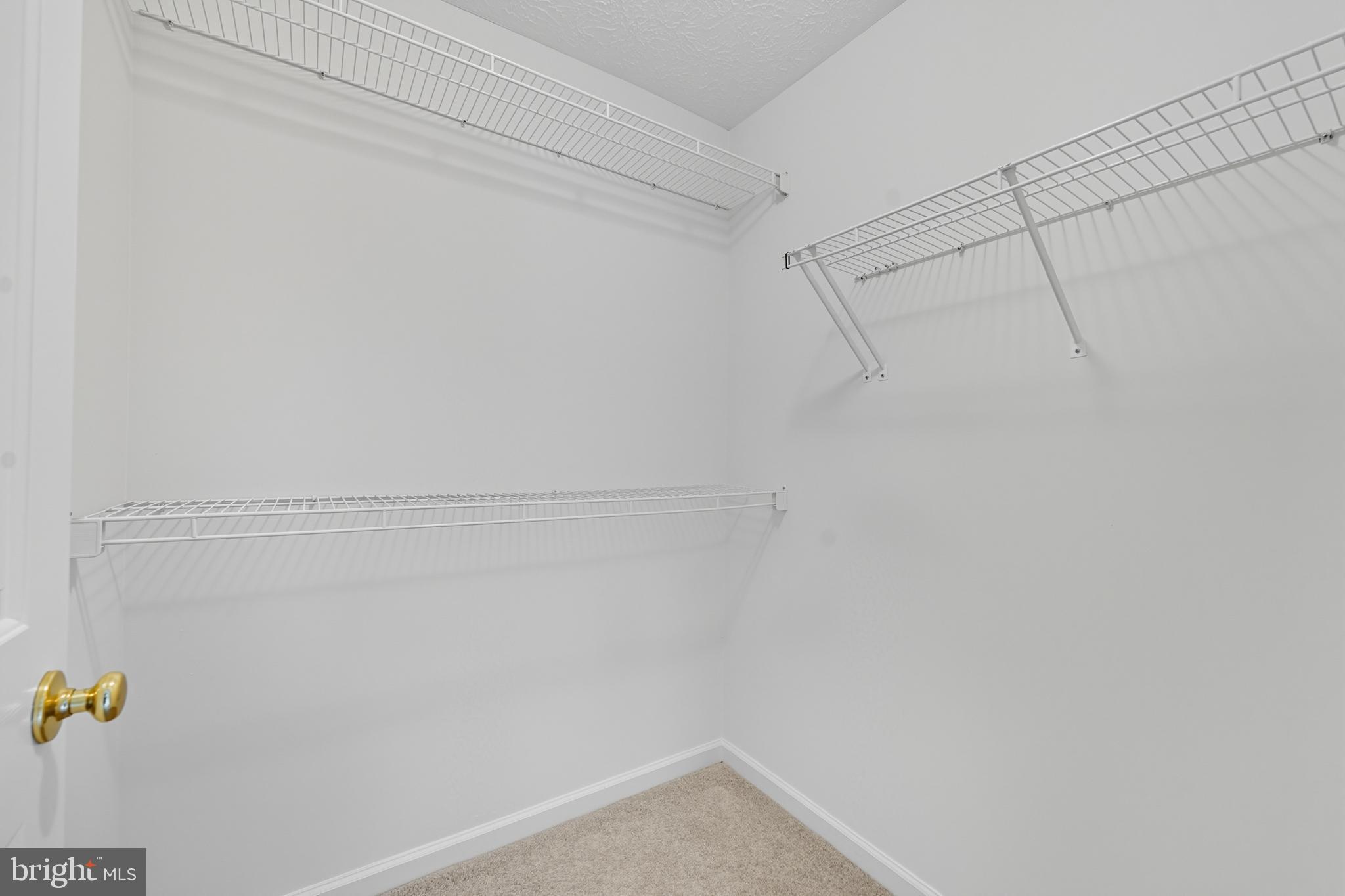25910 Ridge Manor Drive, Unit 1000L Damascus, MD 20872 - Photo 33 of 51 Spacious Walk-In-Closet