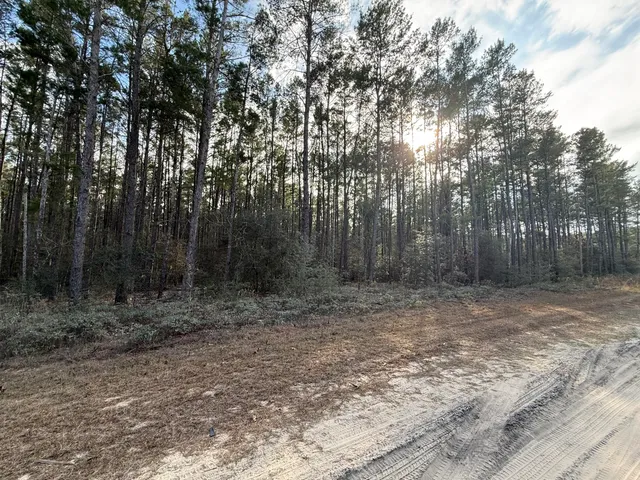 $180,000 | Tbd Badger Drive, Crestview, FL 32539