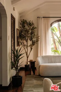 a living room with furniture and a potted plant