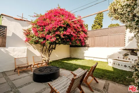 a view of a yard with plants