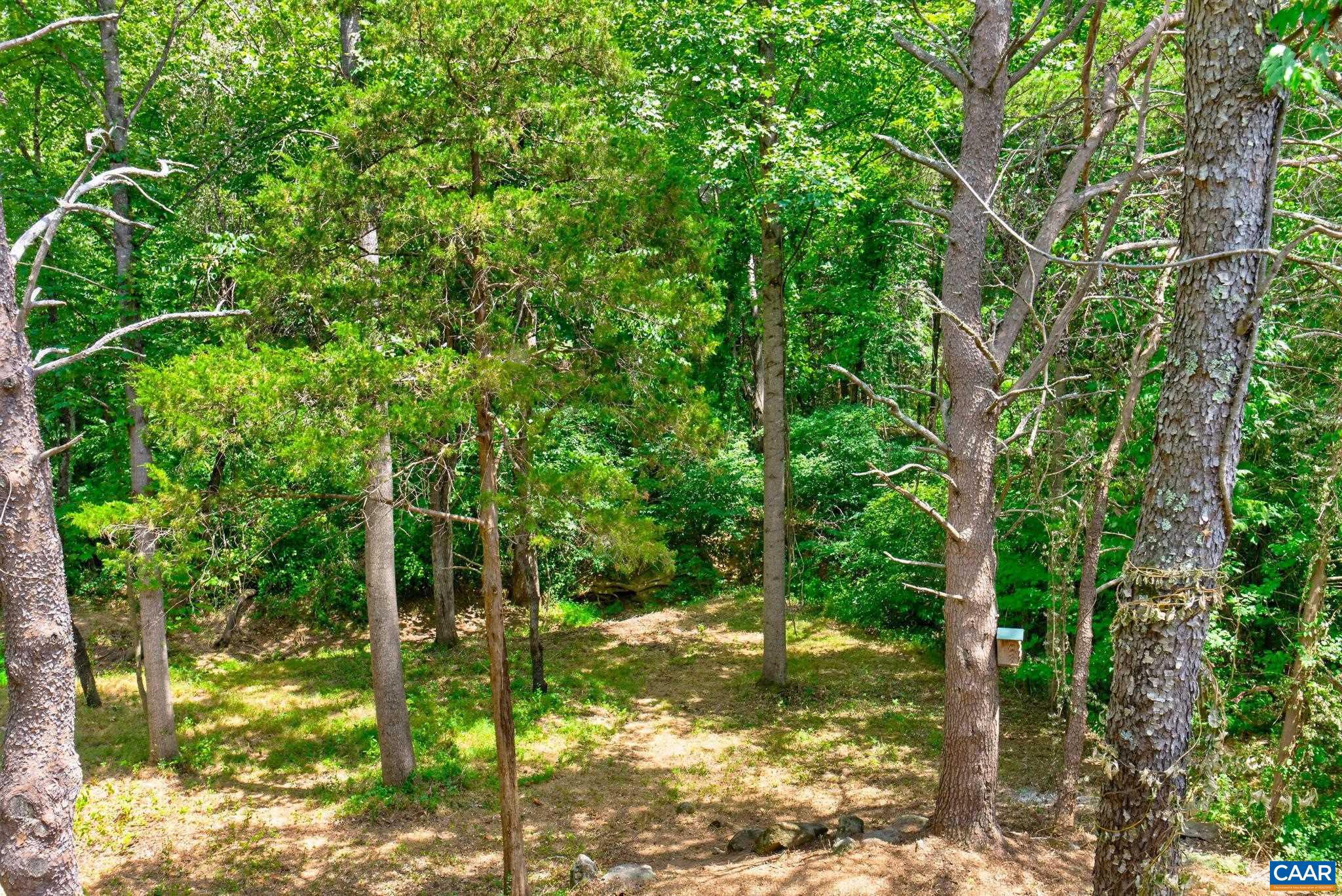 6285 Jarmans Gap Road Crozet, VA 22932 - Photo 39 of 65 a view of yard