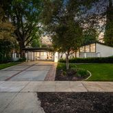 a view of a park with large trees and plants