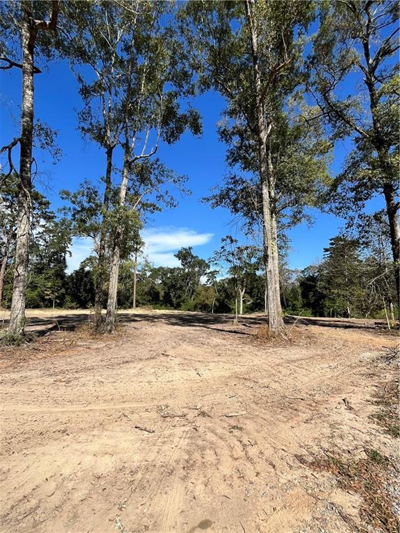 73488 River Road Covington, LA 70435 - Photo 11 of 14