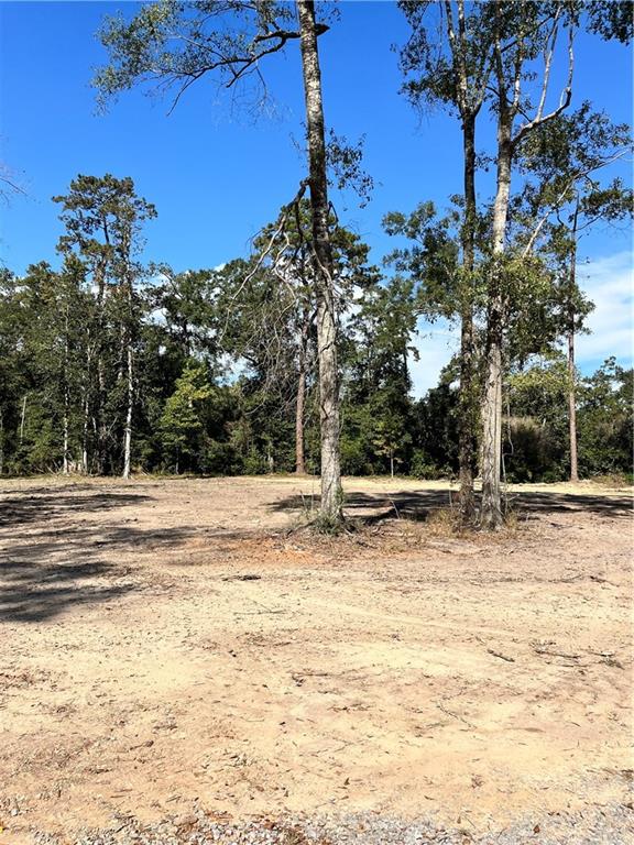 73488 River Road Covington, LA 70435 - Photo 2 of 14