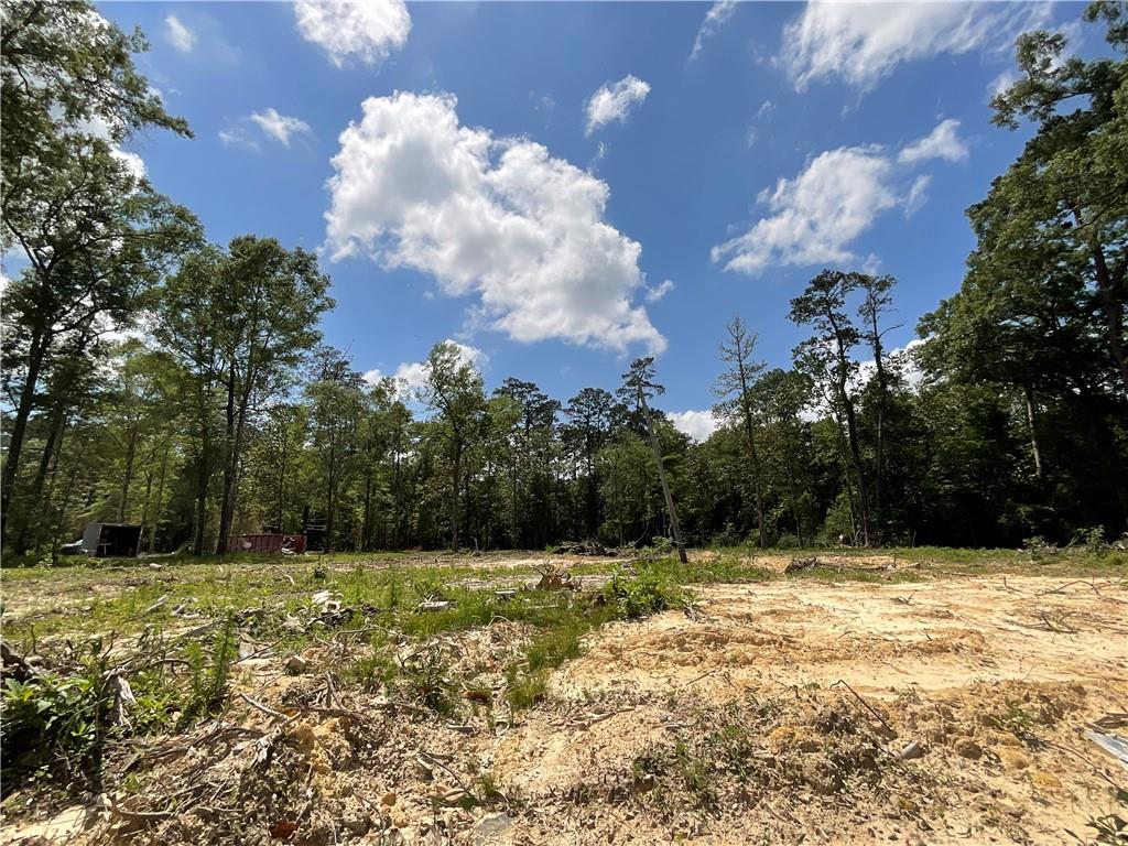 73488 River Road Covington, LA 70435 - Photo 4 of 14