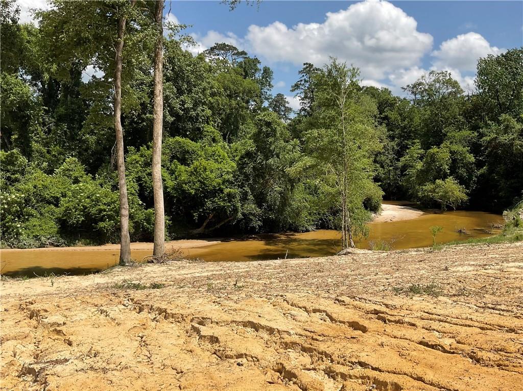 73488 River Road Covington, LA 70435 - Photo 6 of 14