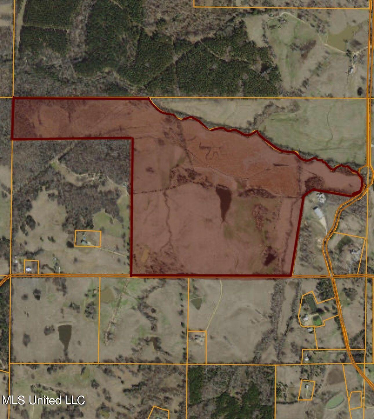 Snider Road Pope, MS 38658 - Photo 1 of 1 Land