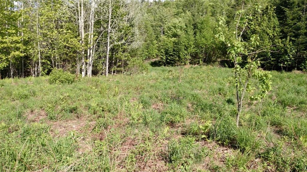 Lot 1 Ridge Road Robbinston, ME 04671 - Photo 3 of 6 Photo