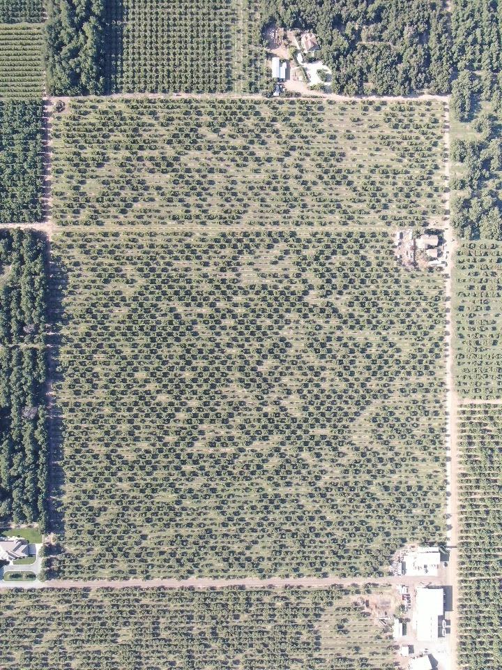 12555 Comstock Road Stockton, CA 95215 - Photo 3 of 6 a bathroom with a shower