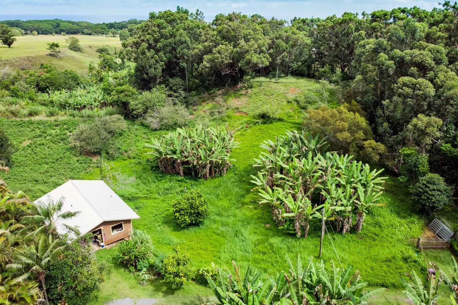 1034 Kaupakalua Road Haiku, HI 96708 - Photo 14 of 21 an aerial view of a house with a yard