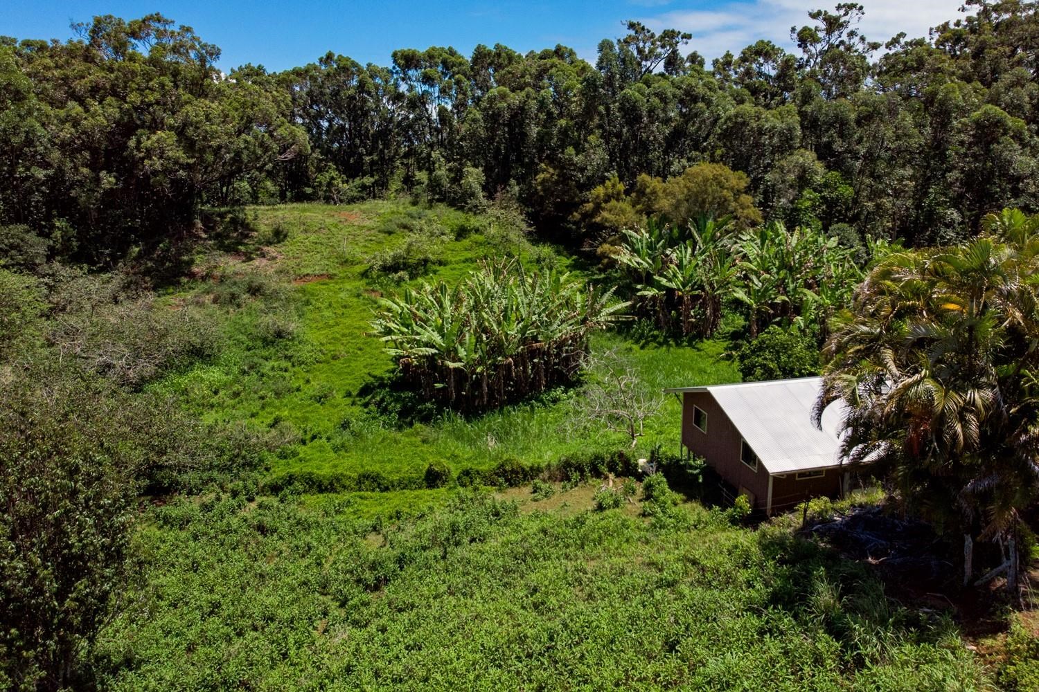 1034 Kaupakalua Road Haiku, HI 96708 - Photo 2 of 21 a view of a back yard