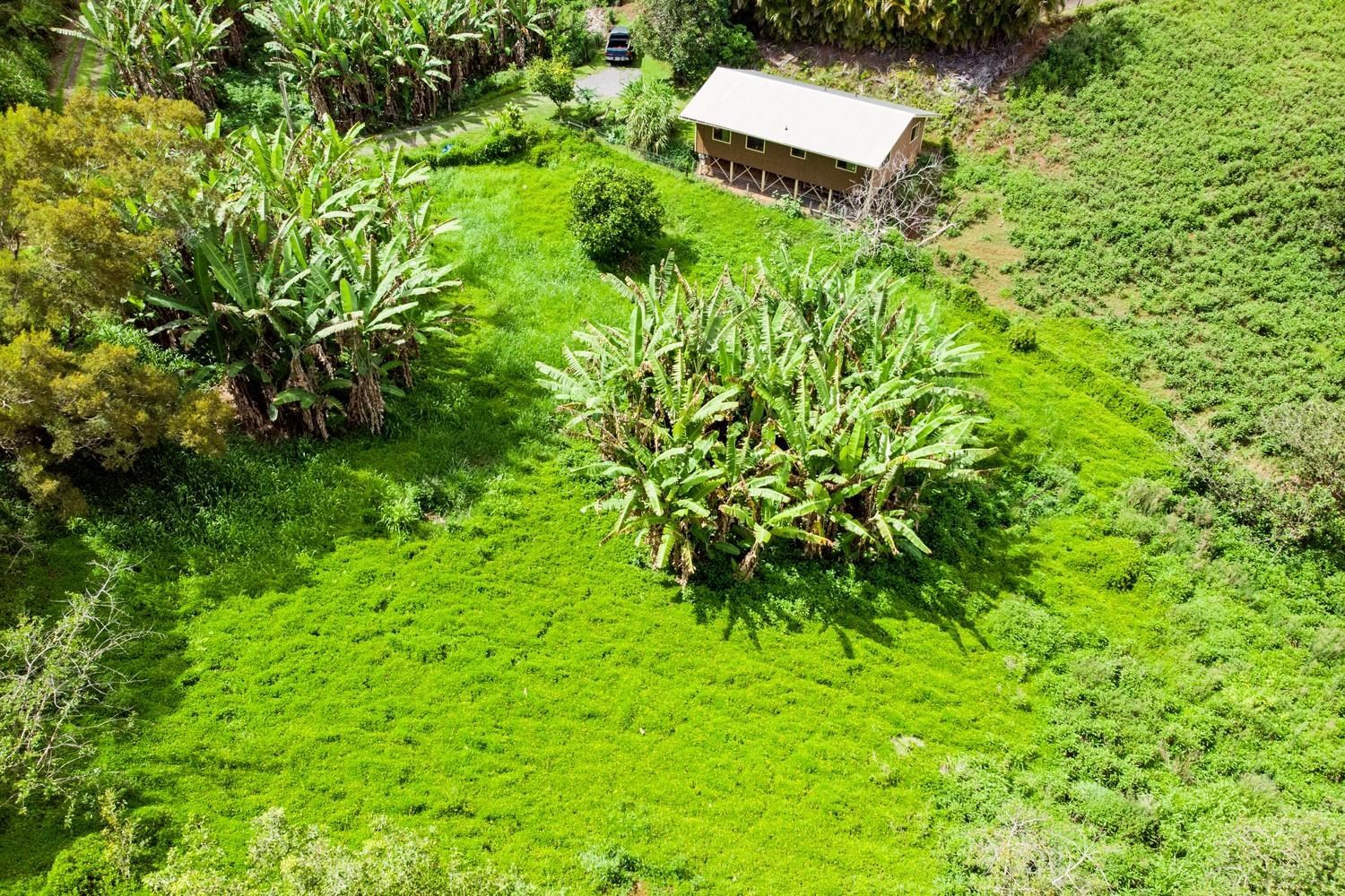 1034 Kaupakalua Road Haiku, HI 96708 - Photo 3 of 21 a view of a garden
