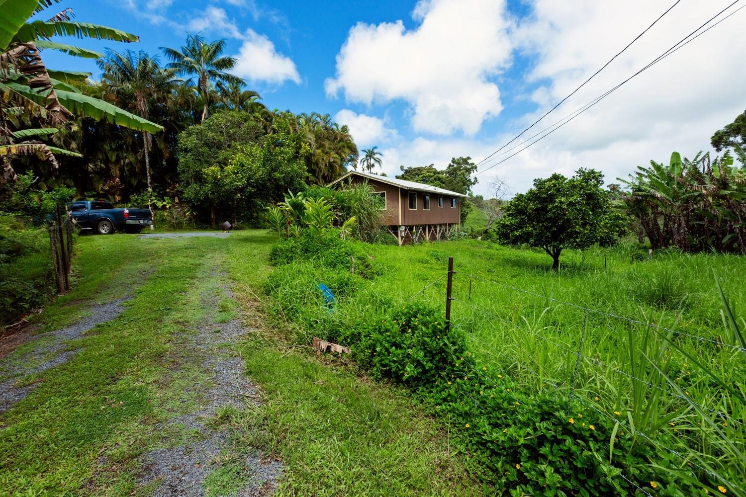 1034 Kaupakalua Road Haiku, HI 96708 - Photo 6 of 21 a view of a garden with a building in front of it