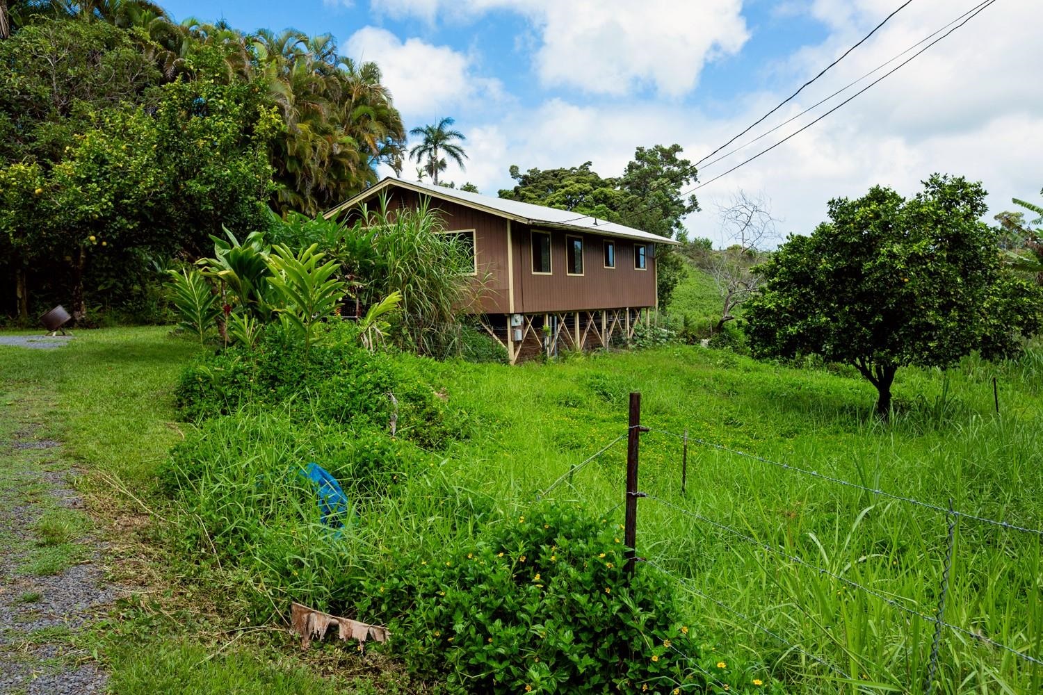 1034 Kaupakalua Road Haiku, HI 96708 - Photo 7 of 21 a backyard of a house with lots of green space