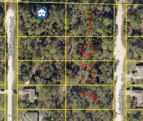 Lot 1 Hawk Road Weeki Wachee, FL 34614 - Photo 3 of 3