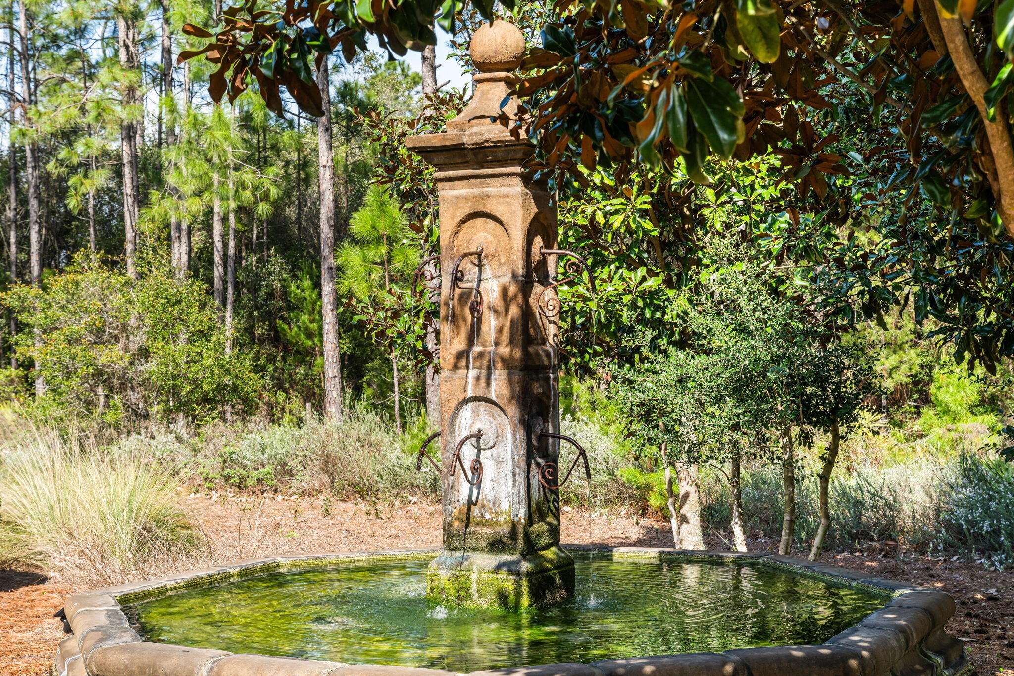 237 Splash Drive Inlet Beach, FL 32461 - Photo 36 of 50 39-web-or-mls-237 Splash Dr-39