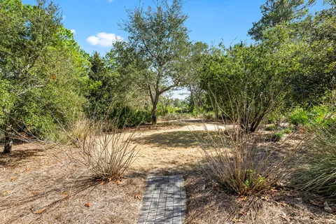 a view of yard covered with trees