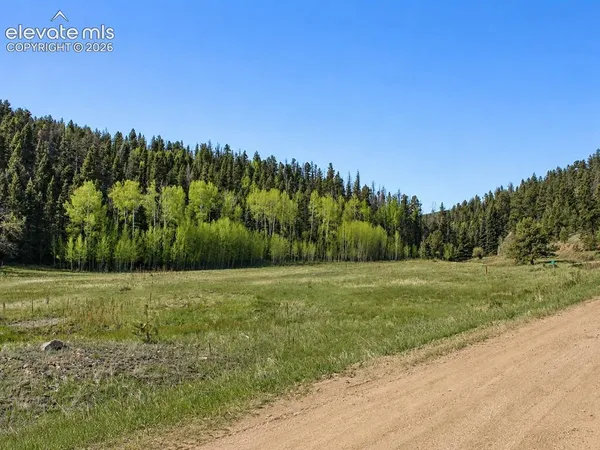 a view of a grassy area with an trees
