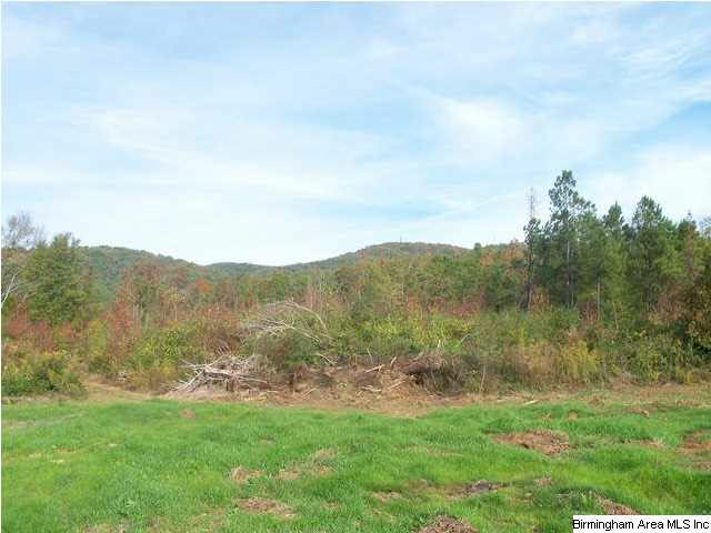 Plant Road, Unit 118 Alpine, AL 35014 - Photo 3 of 11 Gallery Image 3