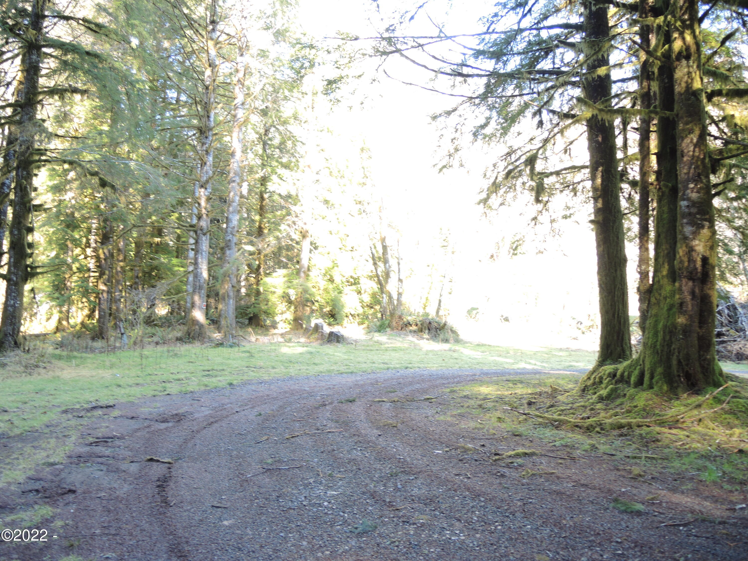 9000 South Schooner Creek Road Otis, OR 97368 - Photo 4 of 11 DSCN3036