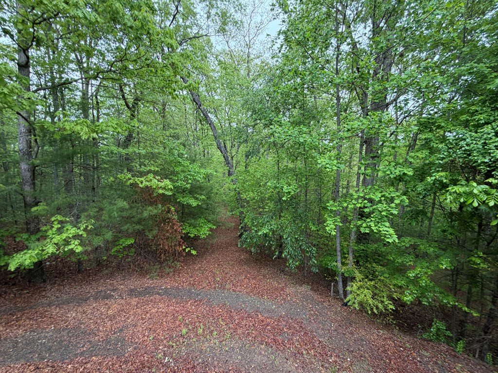 5412 Martins Creek Road Murphy, NC 28906 - Photo 28 of 28