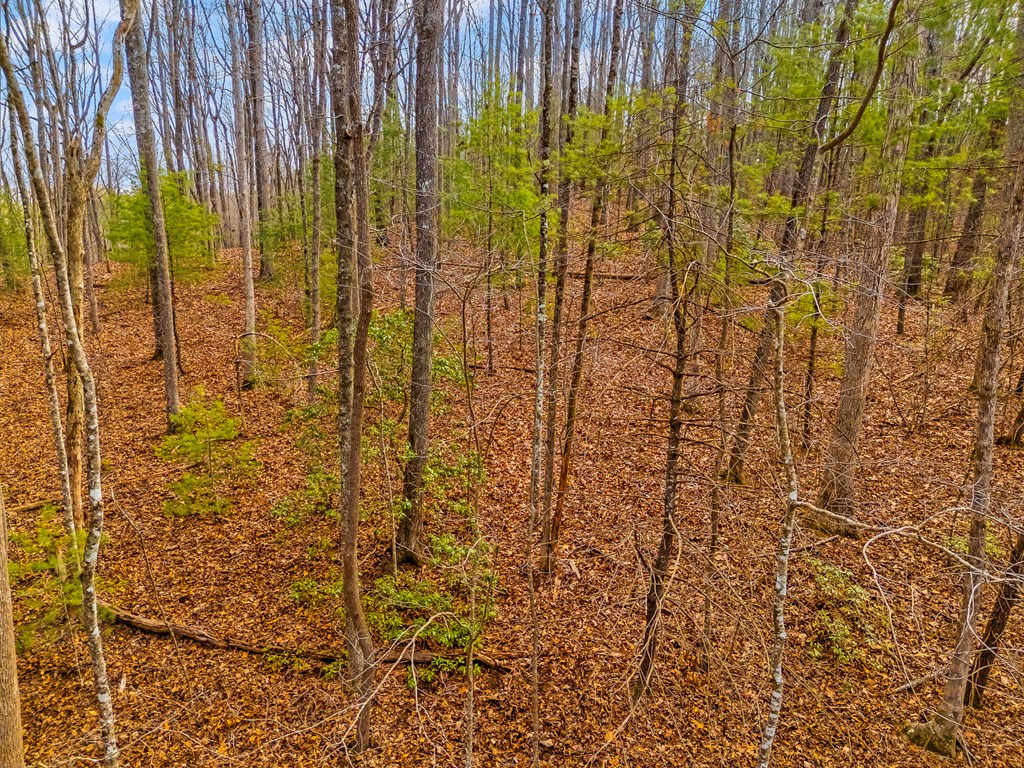 1.03-ac Guy Eller Road Murphy, NC 28906 - Photo 21 of 27