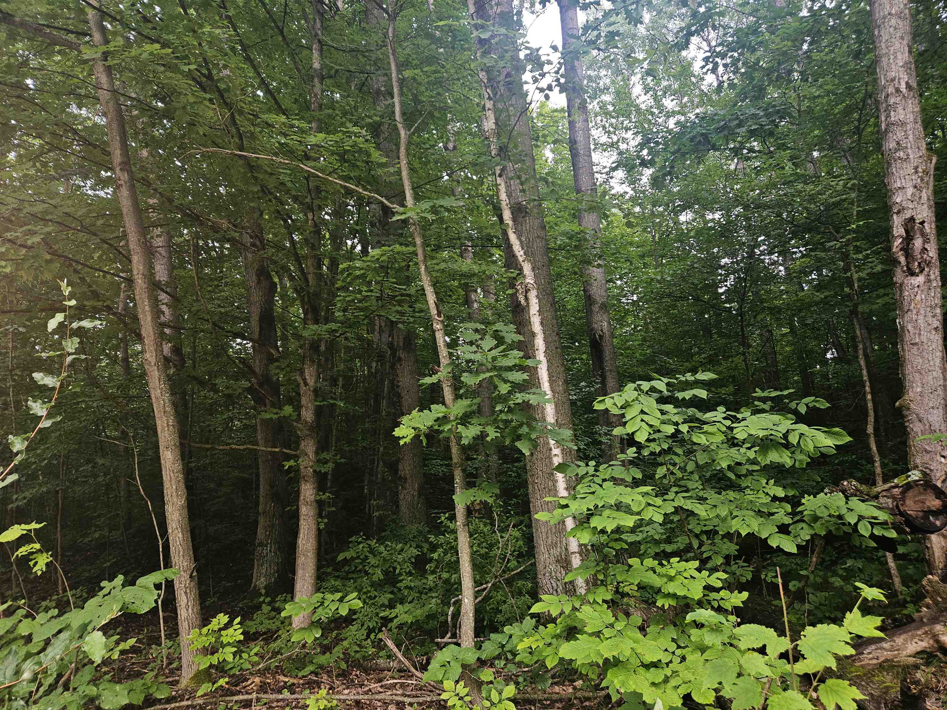 10-ac East Stockwell Road, Unit ATHEY Harrison, MI 48625 - Photo 1 of 8