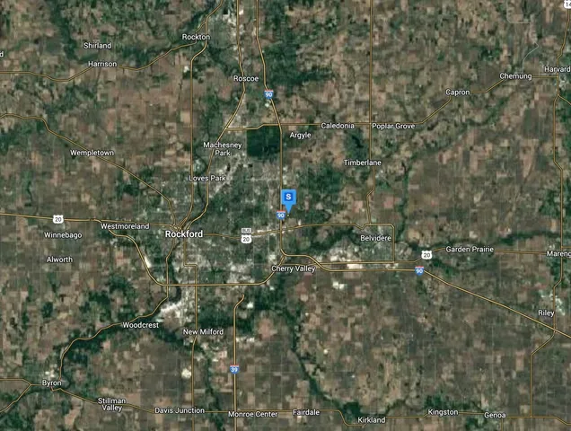 a close up of a tree