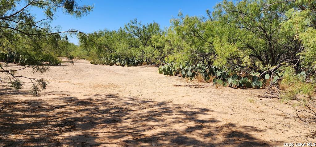 0 Loop 517 Carrizo Springs, TX 78834 - Photo 5 of 30