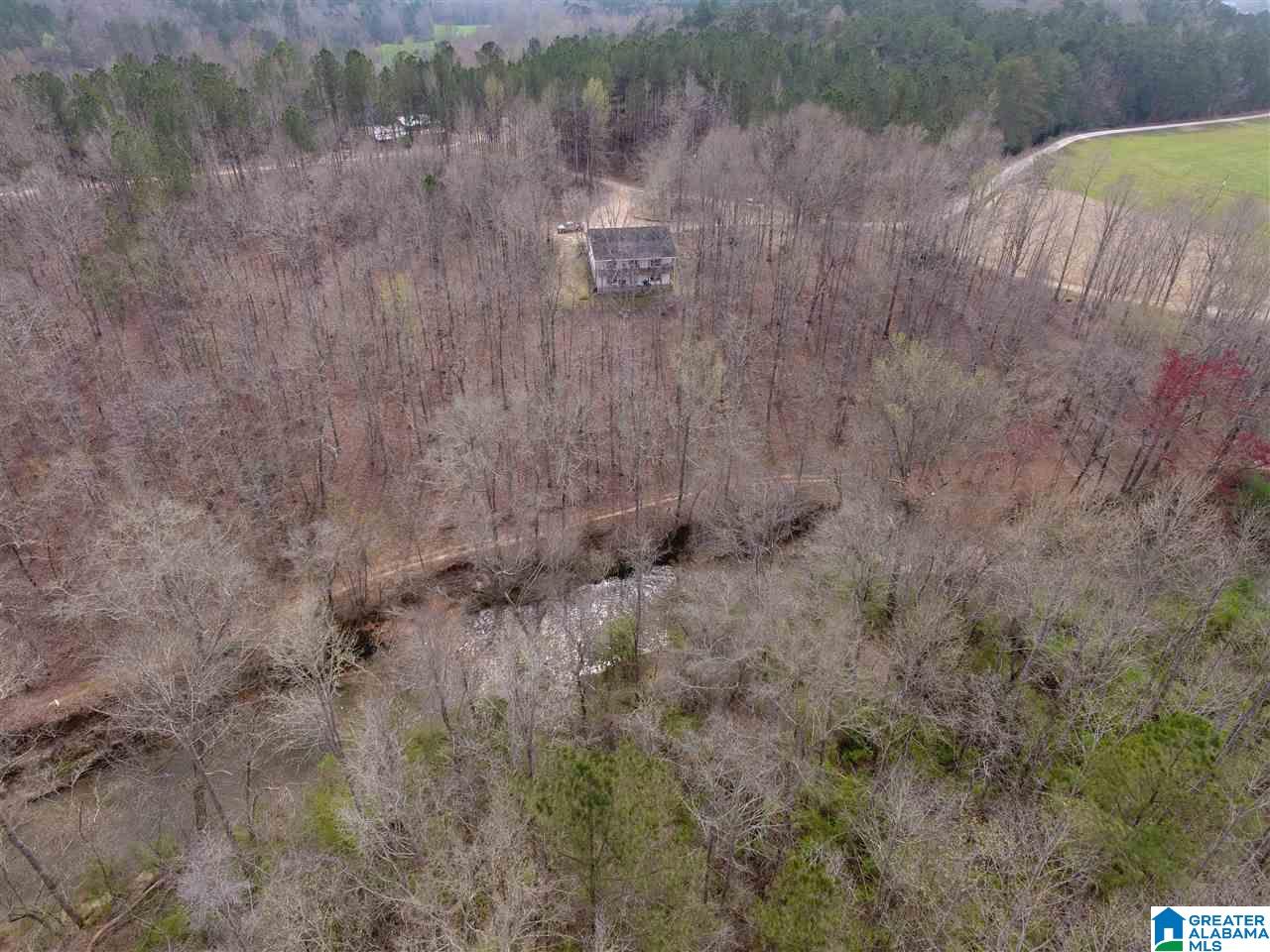 98 Dobson Mill Road Wedowee, AL 36278 - Photo 18 of 19