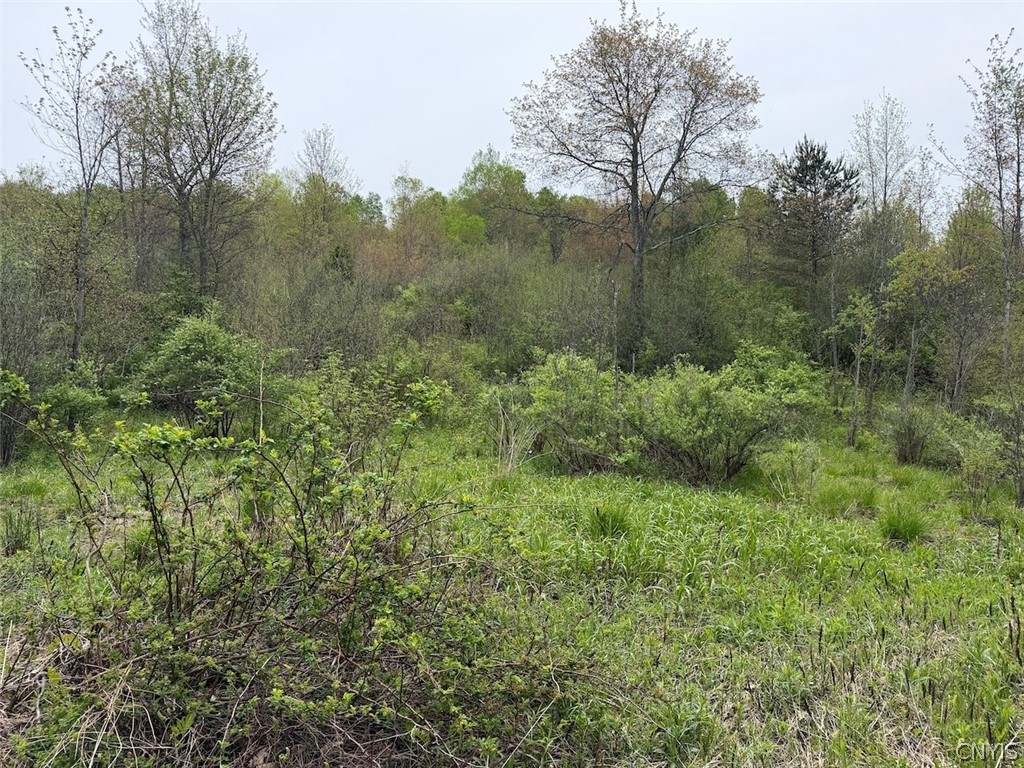 Reynolds Road Franklinville, NY 14737 - Photo 19 of 38