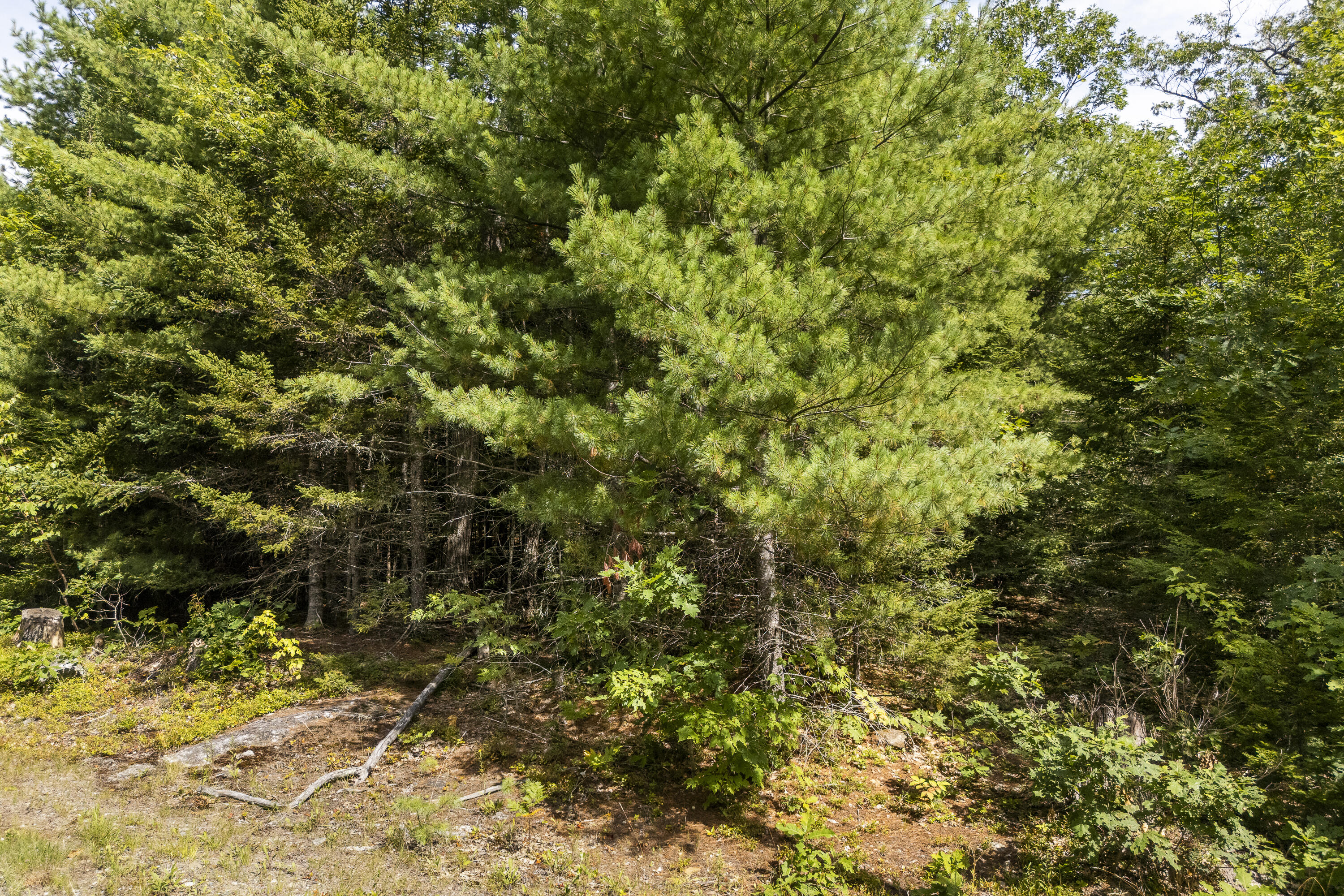 Lot040-e-4 Christian Hill Road Bristol, ME 04539 - Photo 4 of 14 64-83 Christian Hill Rd, Bristol, ME-TP