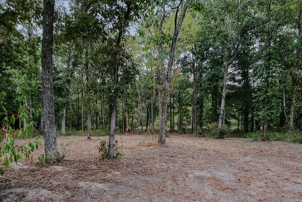 $30,000 | 200 Laurel Road, Onalaska, TX 77360