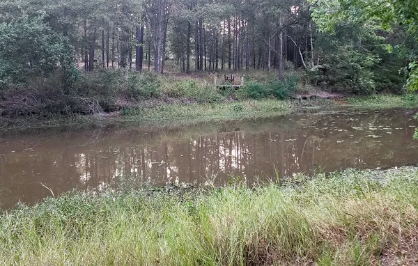 $30,000 | 200 Laurel Road, Onalaska, TX 77360