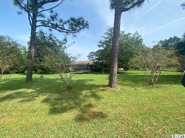 237 Holly View Lane Loris, SC 29569 - Photo 1 of 2 Gallery Image 1