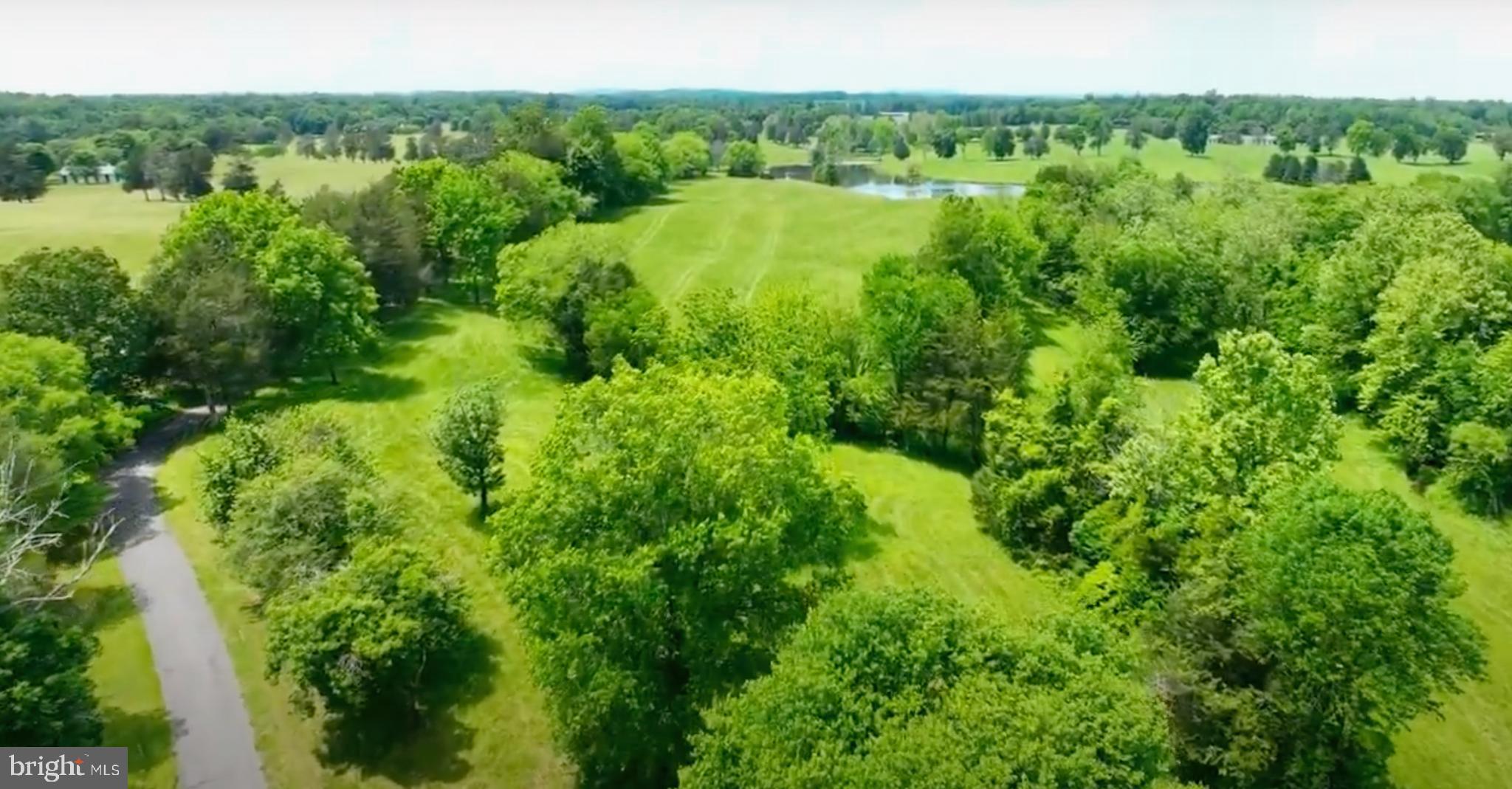 8792 Rogues Road Warrenton, VA 20187 - Photo 3 of 7 a view of a lush green forest with trees and some houses
