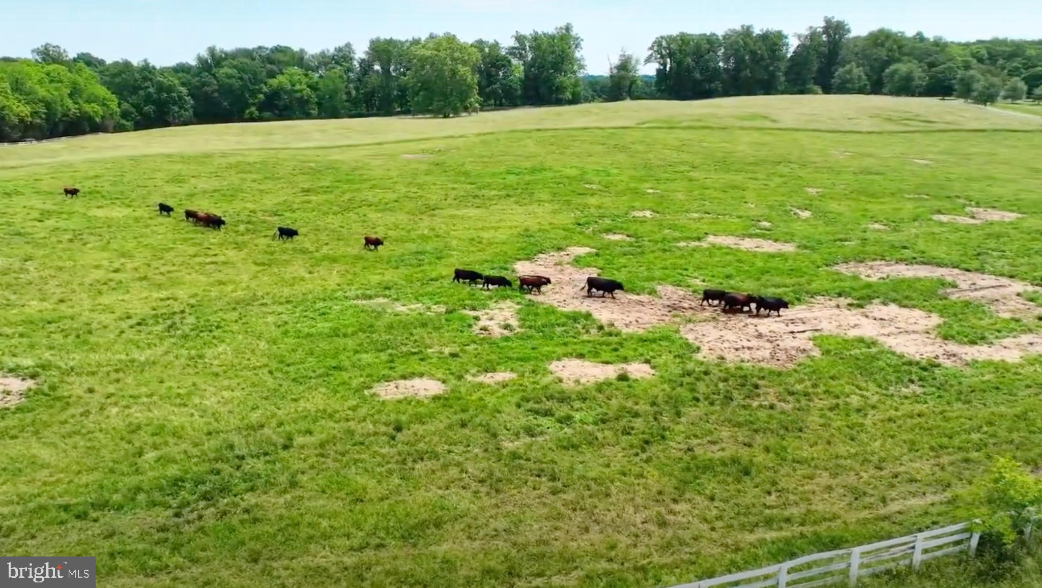 8792 Rogues Road Warrenton, VA 20187 - Photo 6 of 7 a view of outdoor space with deck and yard