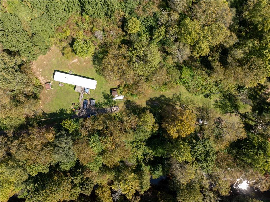 1409 Highway 989 Rochester, PA 15074 - Photo 13 of 17 a view of a house with a tree