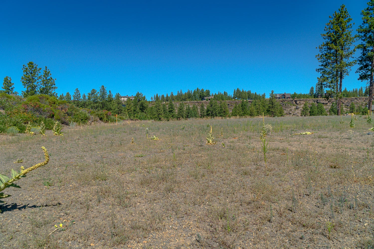 60861 River Rim Drive Bend, OR 97702 - Photo 7 of 21 60861-033