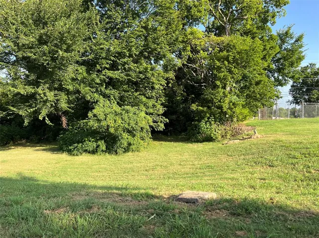 a view of an ocean from a yard