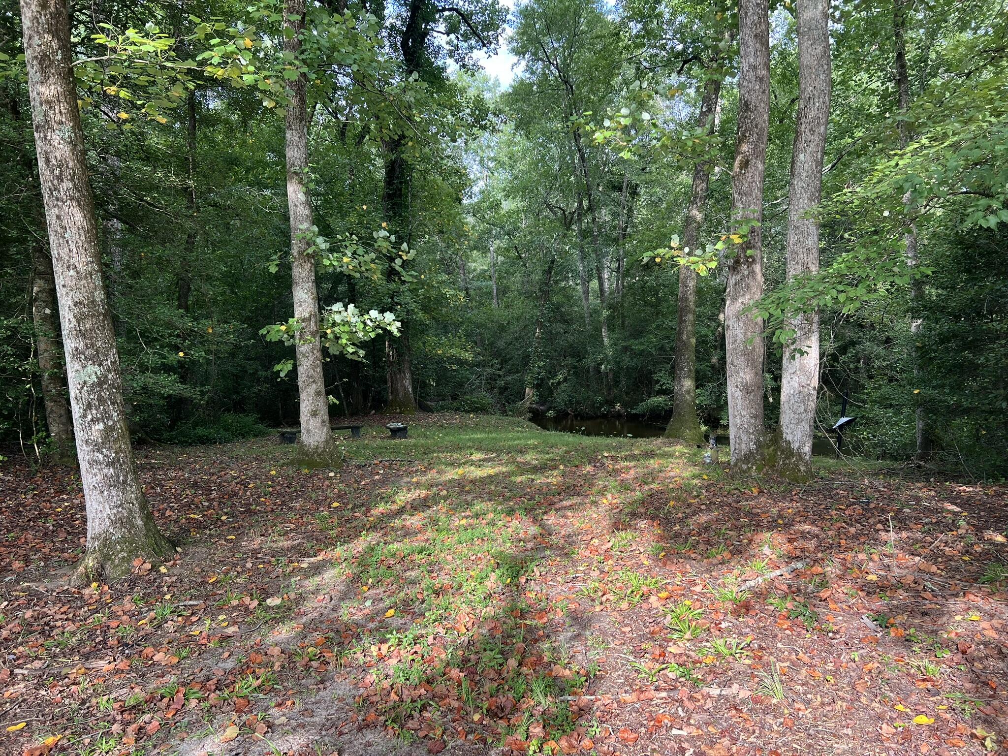 830 Colbert Bridge Road Windsor, SC 29856 - Photo 3 of 10